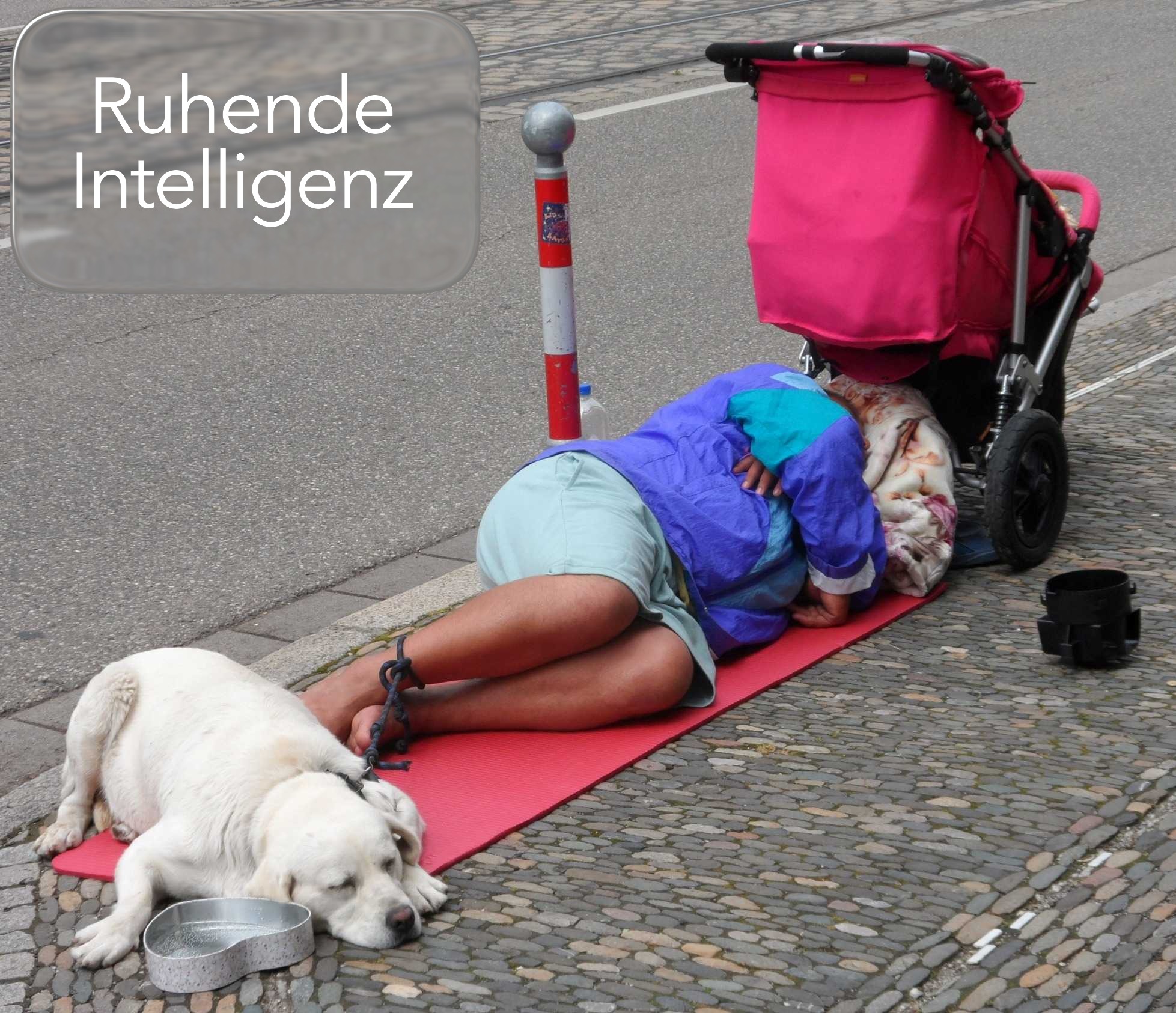 Stolipinowo Ruhende Intelligenz